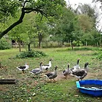 Sonnenhof Holiday home Blankenburg (Uckermark)