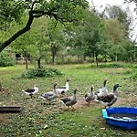Holiday home Sonnenhof Blankenburg (Uckermark)