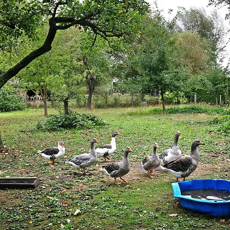 Sonnenhof Holiday home Blankenburg (Uckermark)