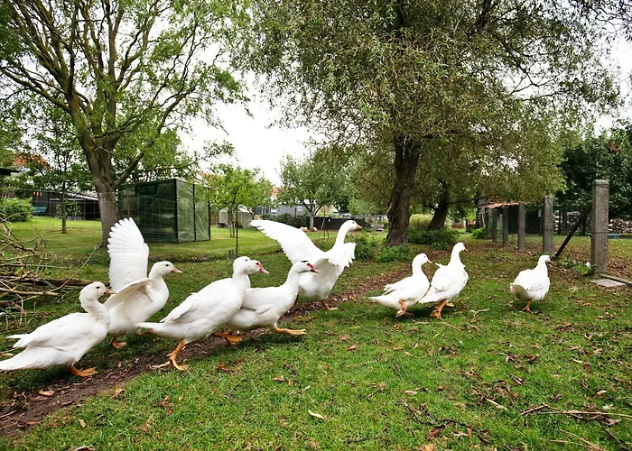 Sonnenhof Dom wakacyjny