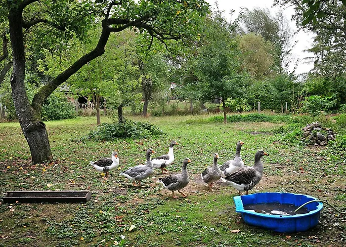 Sonnenhof Dom wakacyjny Blankenburg (Uckermark)